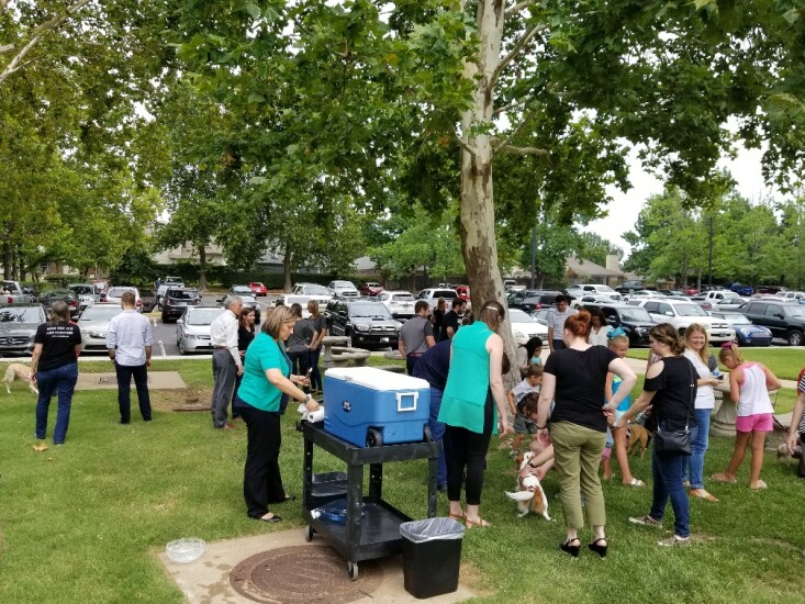 Best Firms 2018 --CCK Strategies