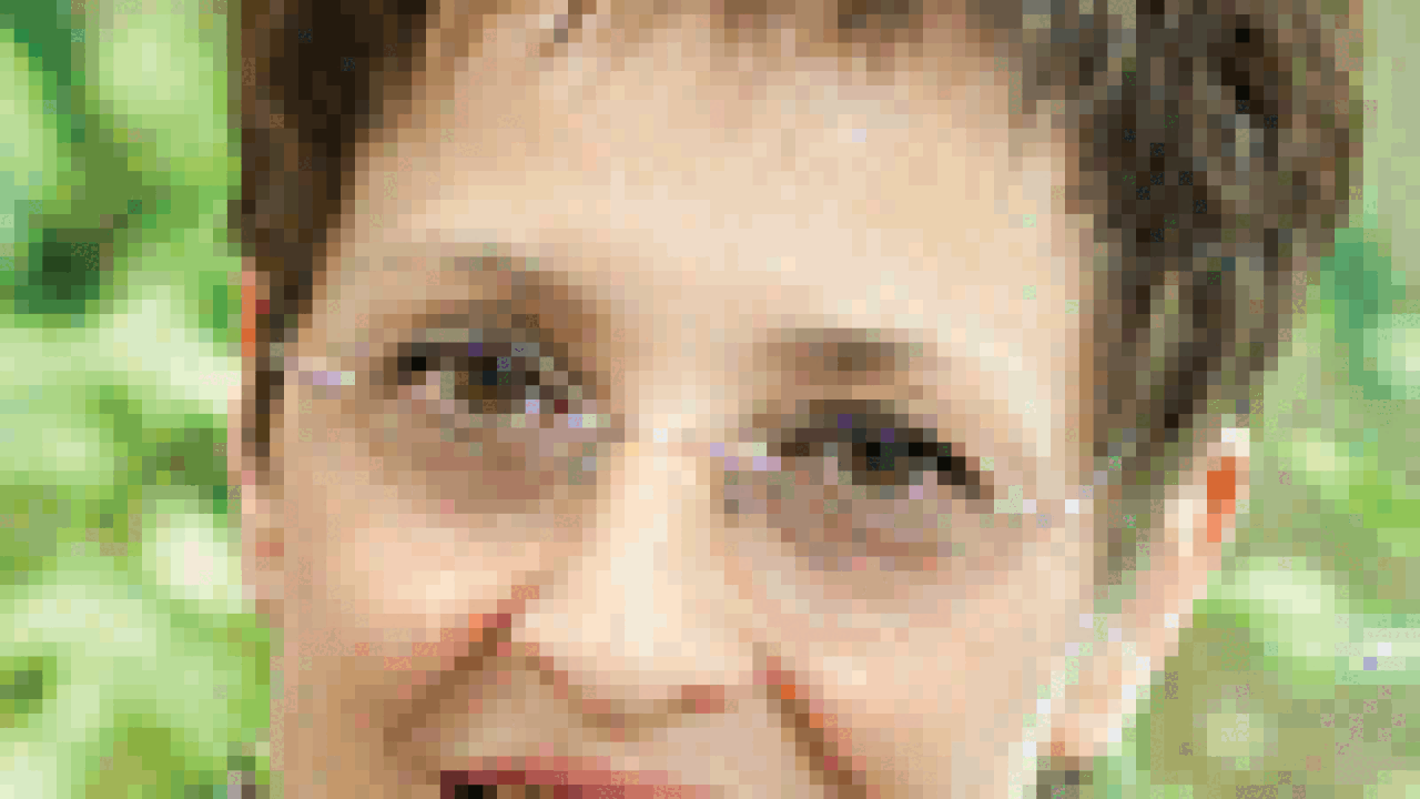 connie-stone.gif