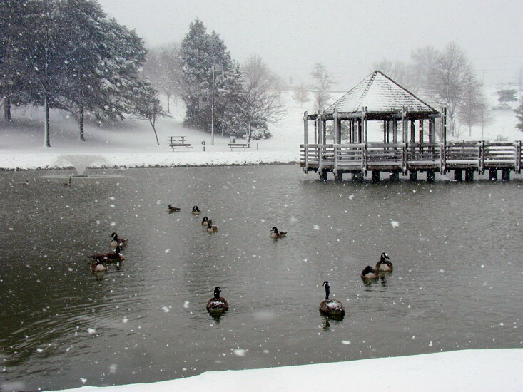 Vlasis Park in Ballwin, Missouri