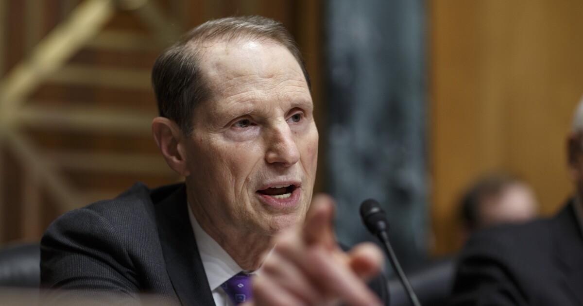 Senate Dems want info on IRS sharing taxpayer data with ICE Senate Dems want info on IRS sharing taxpayer data with ICE