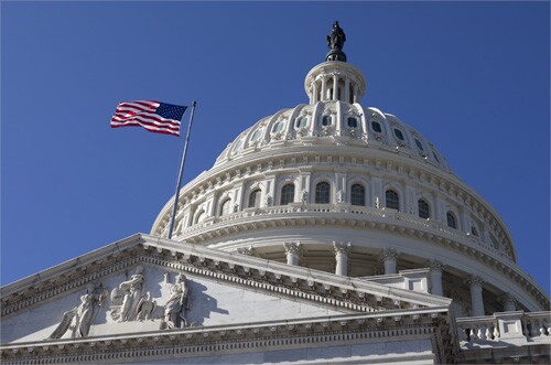 Capitol Hill-flag