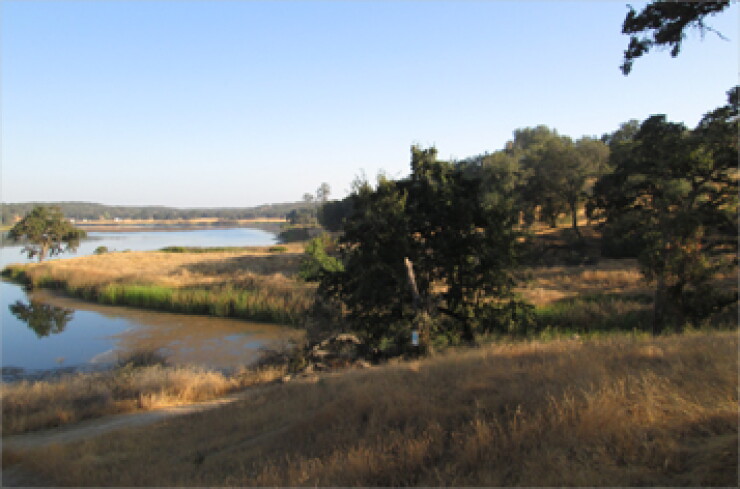 calif-property-credit-kosmont-companies-357.jpg