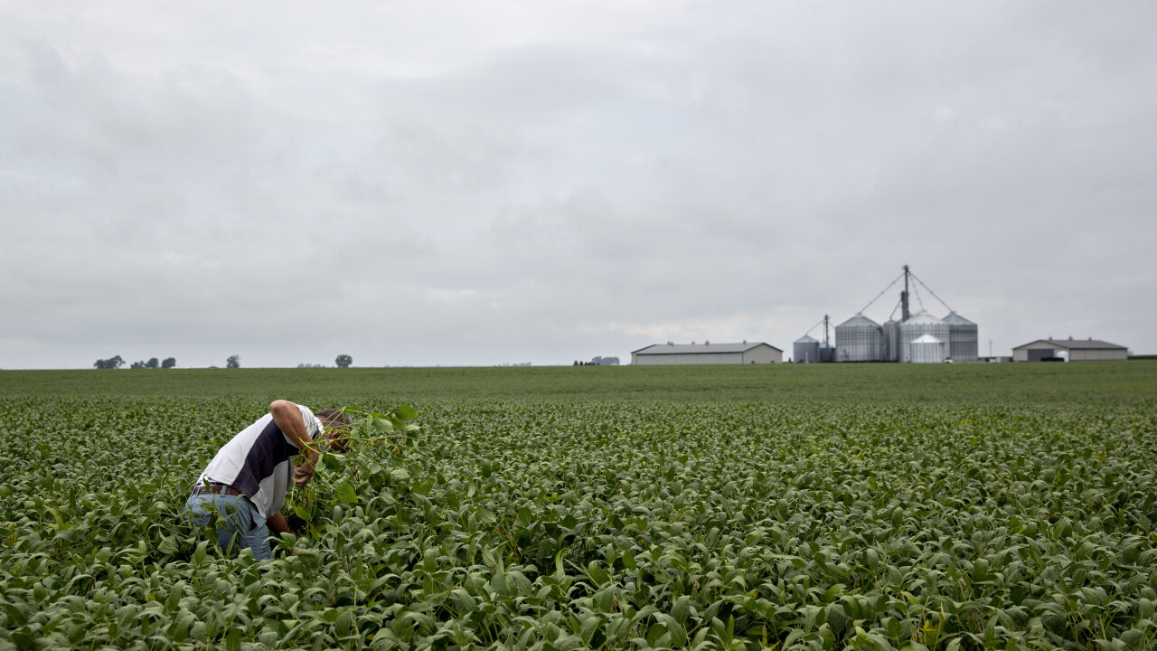 A picture of a field in Kentland, Indiana.