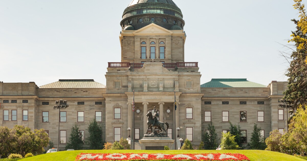 Law expands Montana conduit issuer's reach, triples issuance cap Law expands Montana conduit issuer's reach, triples issuance cap