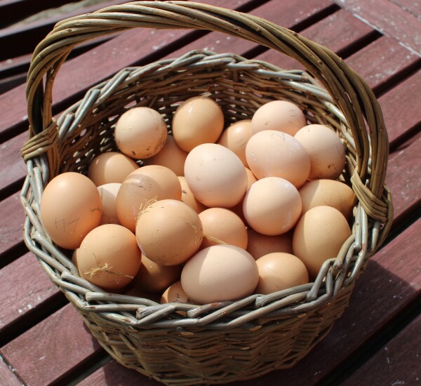 basket-of-eggs.jpg