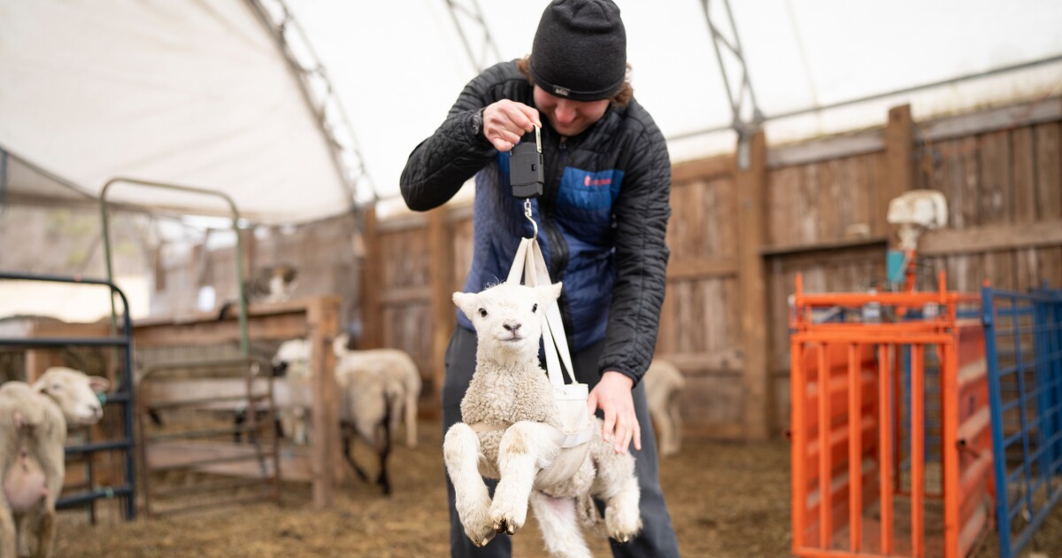 Tiny Vermont work faculty will cease educating as enrollment dips Tiny Vermont work faculty will cease educating as enrollment dips