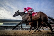 tax-dean-dorton-triple-crown-2019