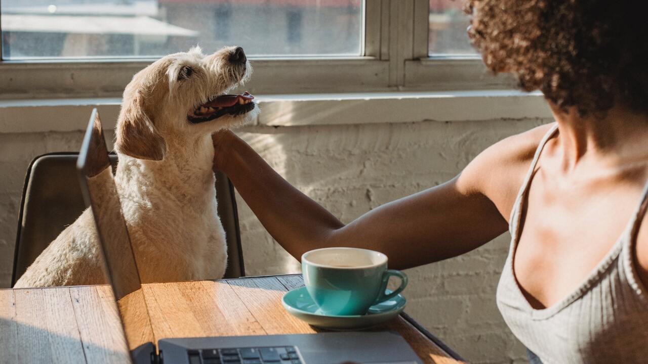 Modern workplace 2021