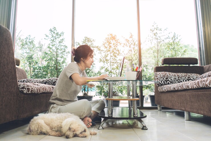 A young woman works on a laptop at her coffee table; her dog sleeps next to her.