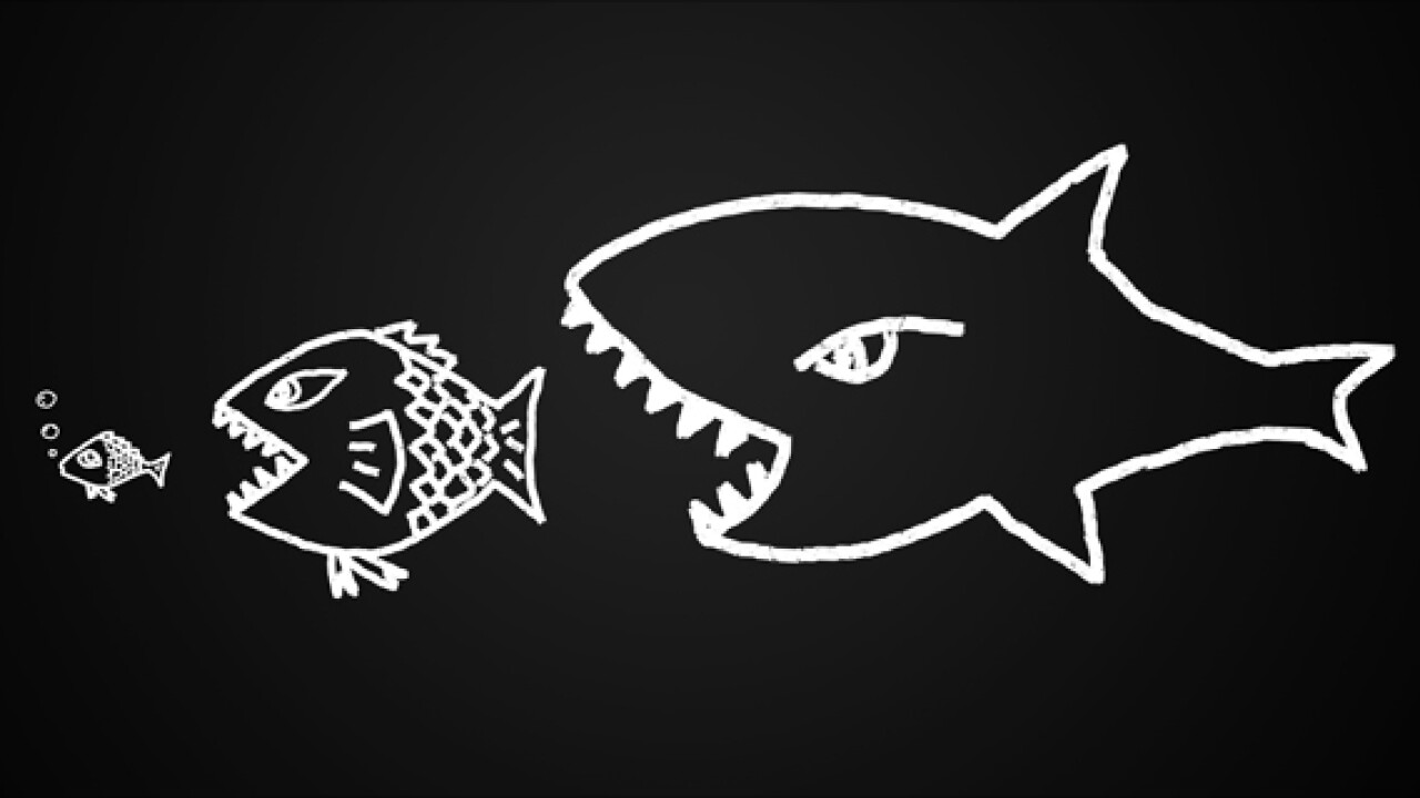 Thumbnail for Video: Serial Bank Buyer Hunts for Deposits, Loans and ROE