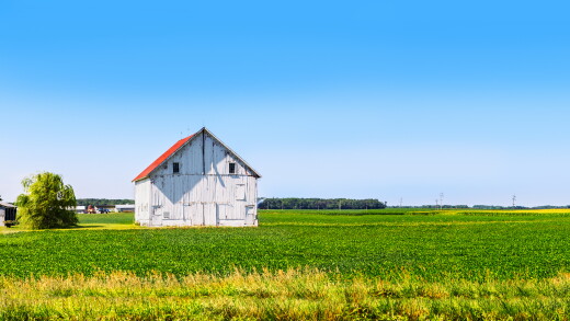 farm and barn