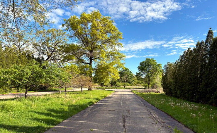 An unevenly paved road runs through trees and grass