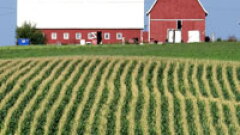 farm-small.jpg