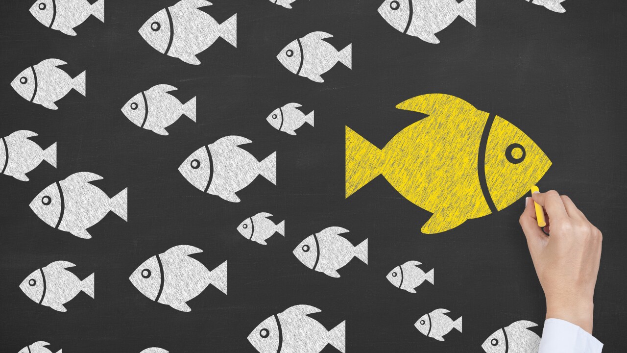 A fish going its own way