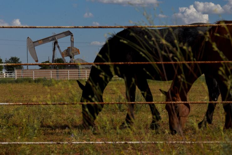 Horses graze in front of a pumpjack near Midland, Texas, U.S., on Friday, Aug. 24, 2018.