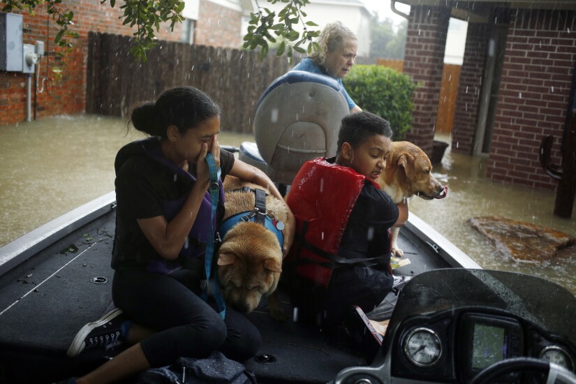 A boy and girl hug their grandmother's dogs after being rescued from rising floodwaters due to Hurricane Harvey in Spring, Texas.