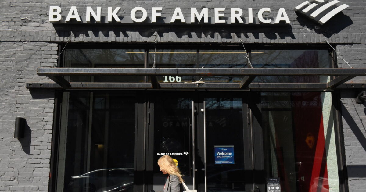 Big banks like Bank of America and TD capitalize on SBA loan growth