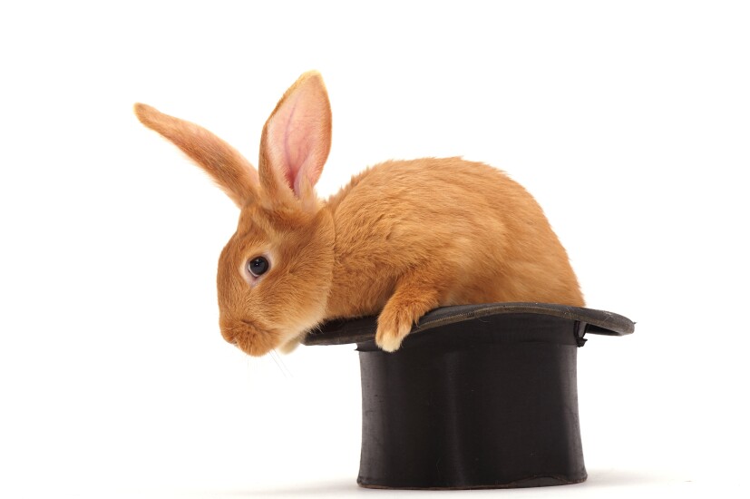 Rabbit in magic hat