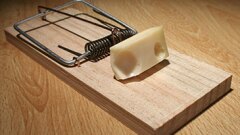 mousetrap-with-cheese-36639830-adobe.jpg