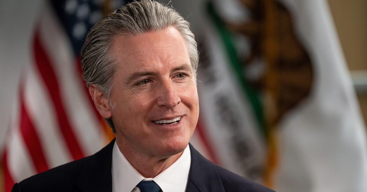 Newsom pitches software tax to raise billions in new revenue Newsom pitches software tax to raise billions in new revenue