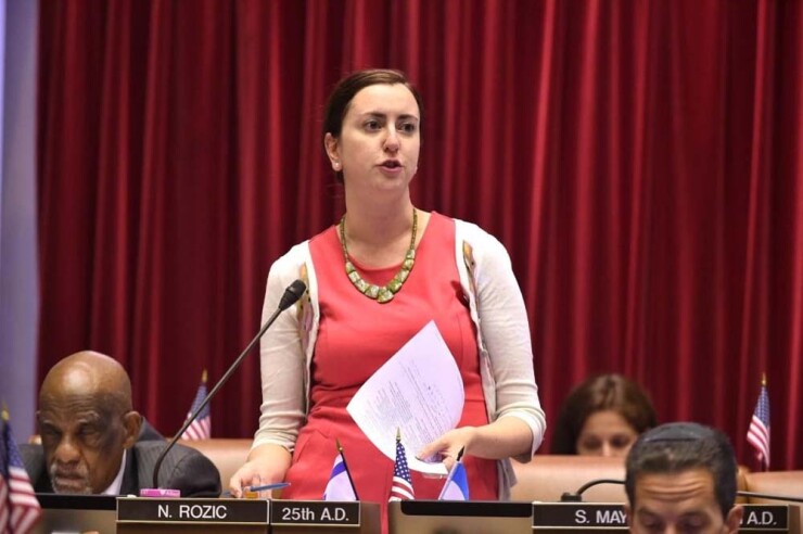 New York State Assemblywoman Nily Rozic, D-Fresh Meadows, assumed office in 2013.
