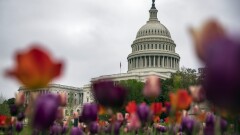 U.S. Capitol building