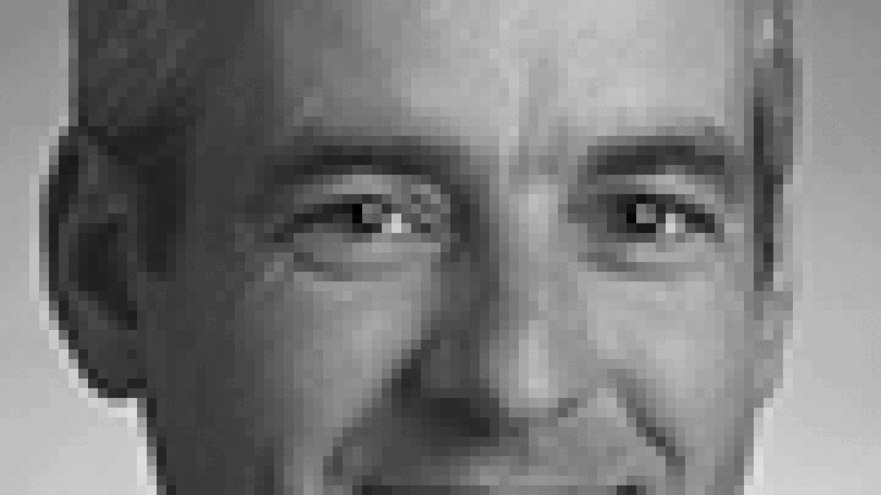 haller1.gif