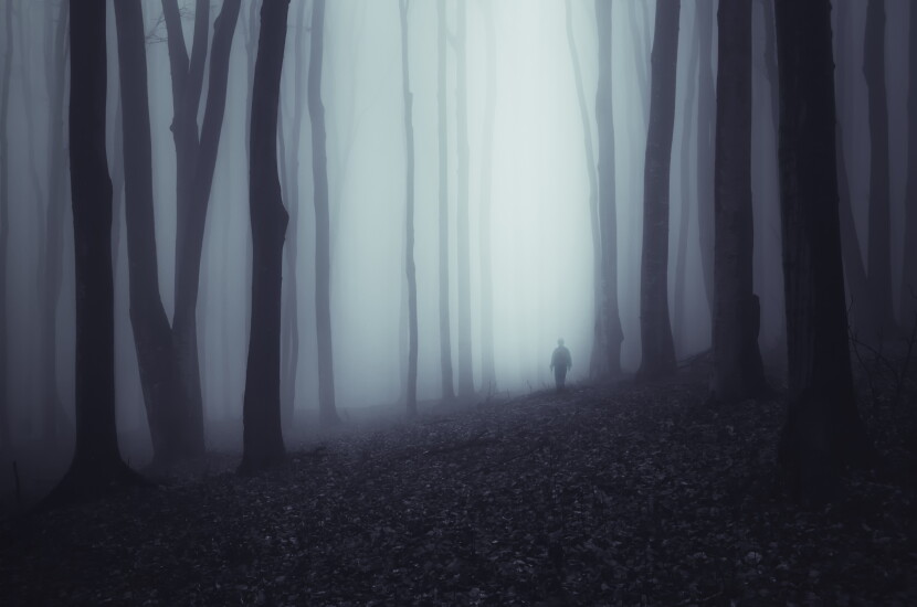 haunted-forest-137191953-adobe.jpeg