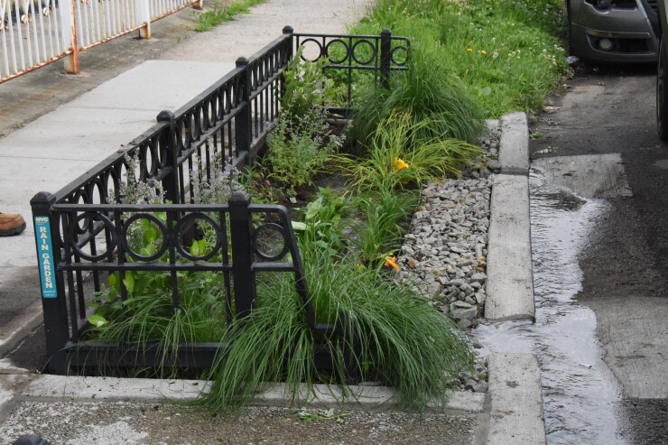 curbside rain garden, new york city