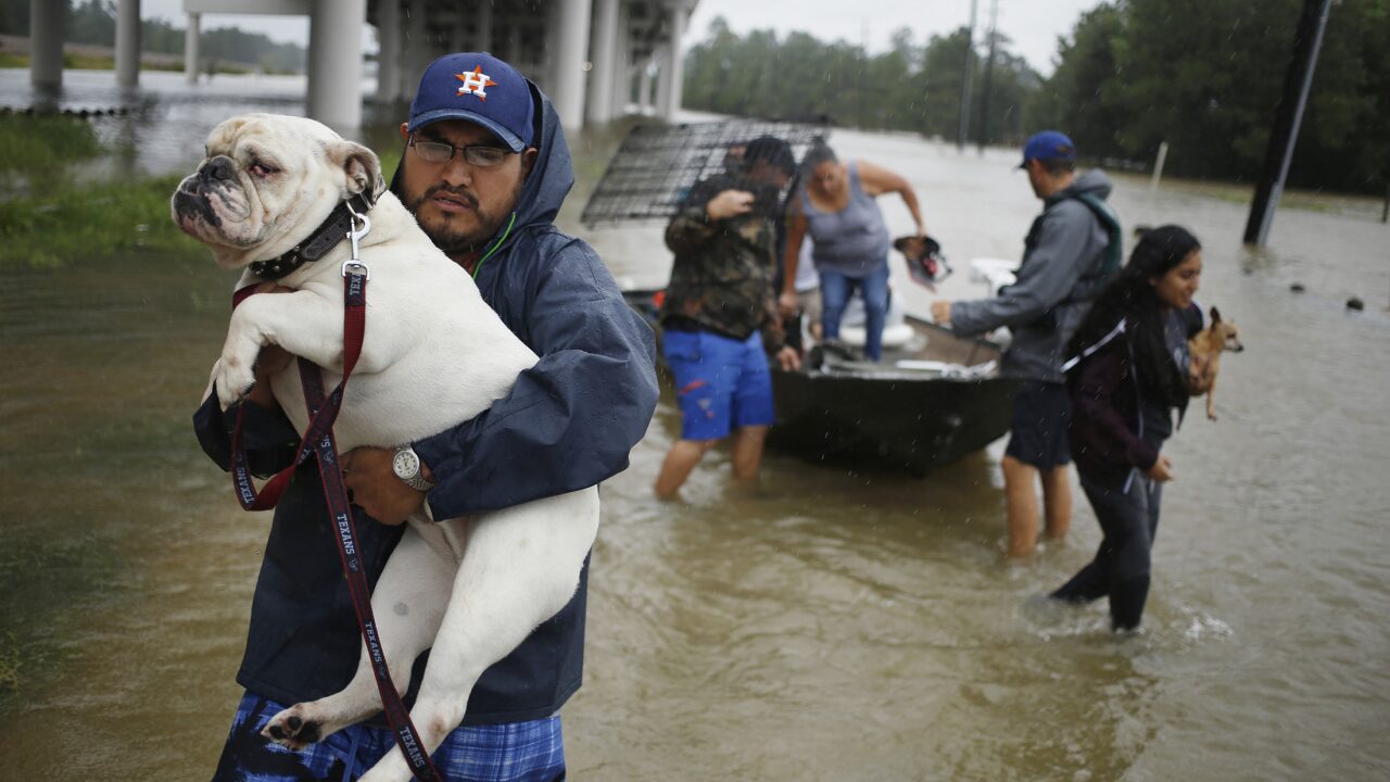 Hurricane Harvey