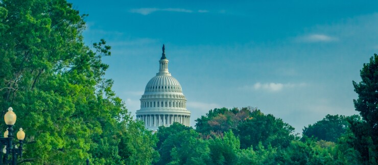 The U.S. Capitol through trees