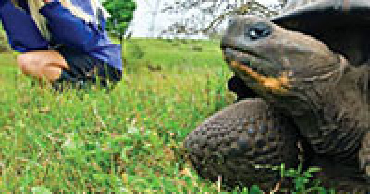 Deloitte audits nature-related risks on Earth Day Deloitte audits nature-related risks on Earth Day