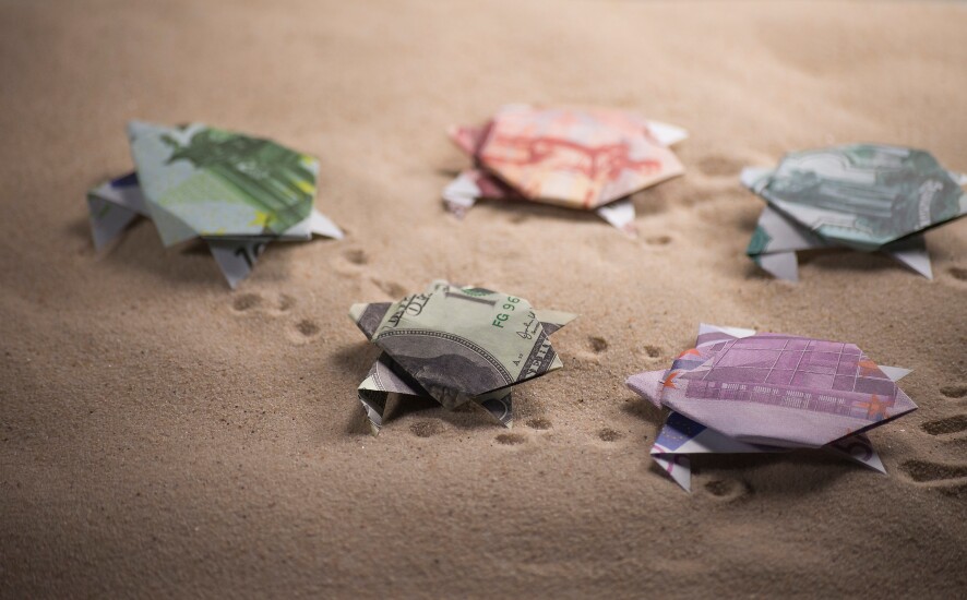 turtle money origami