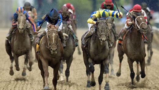 Horses racing in the Preakness Stakes, at Pimilico Race Track in Maryland.